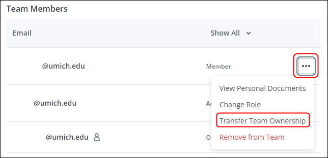 Transferring Team Ownership to a team member